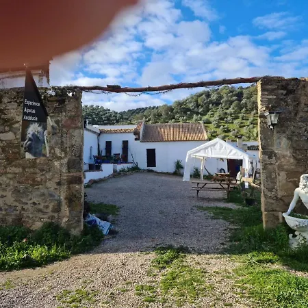 Apartment Experience Alpacas In Andalucia