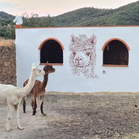 Experience Alpacas In Andalucia Apartment *
