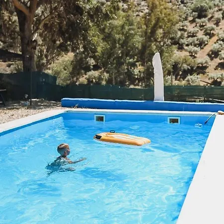 Apartment Experience Alpacas In Andalucia