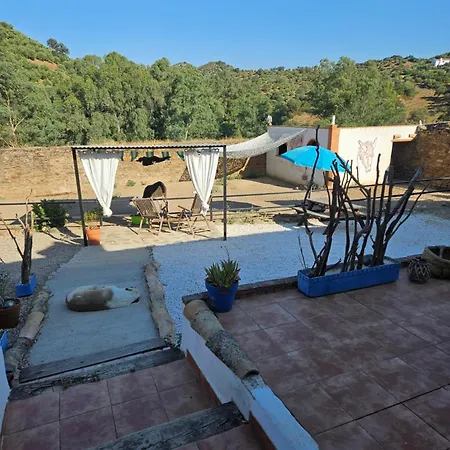 Experience Alpacas In Andalucia Apartment Cordoba