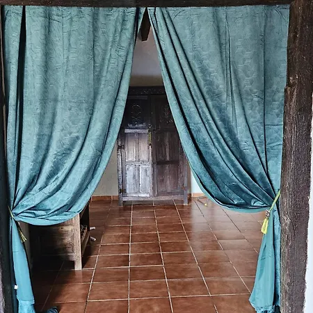 Experience Alpacas In Andalucia Apartment Cordoba