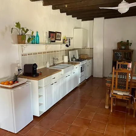 Experience Alpacas In Andalucia Apartment