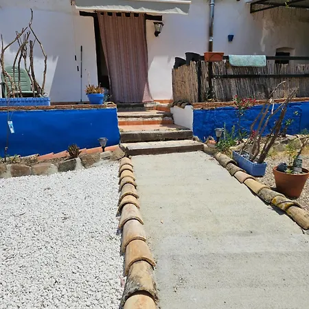 Experience Alpacas In Andalucia Apartment Cordoba