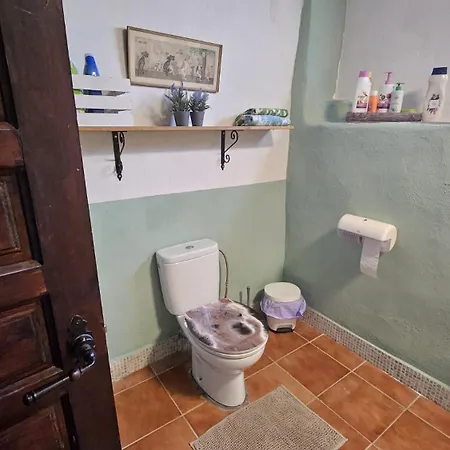 Experience Alpacas In Andalucia Apartment
